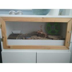 Hamsterkooi 80x40
