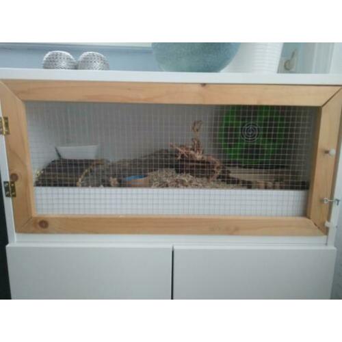 Hamsterkooi 80x40
