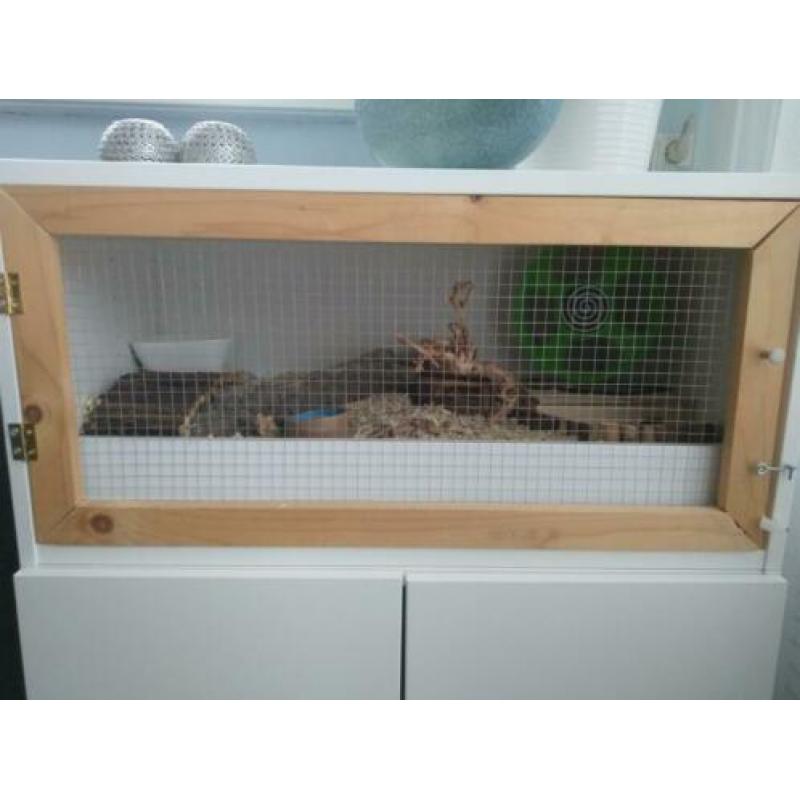 Hamsterkooi 80x40
