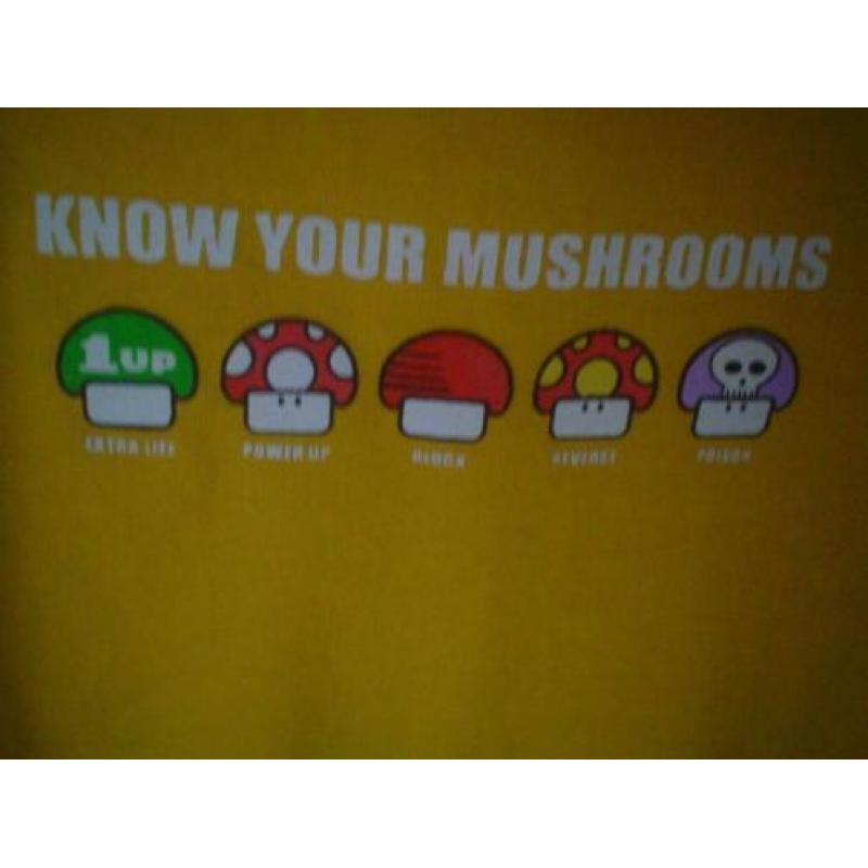 T shirt B Cool