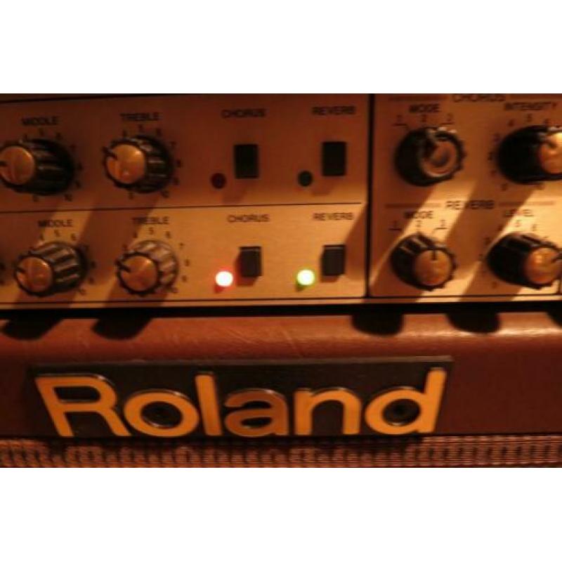 Roland AC 100 acoustic chorus amp , akoestische versterker