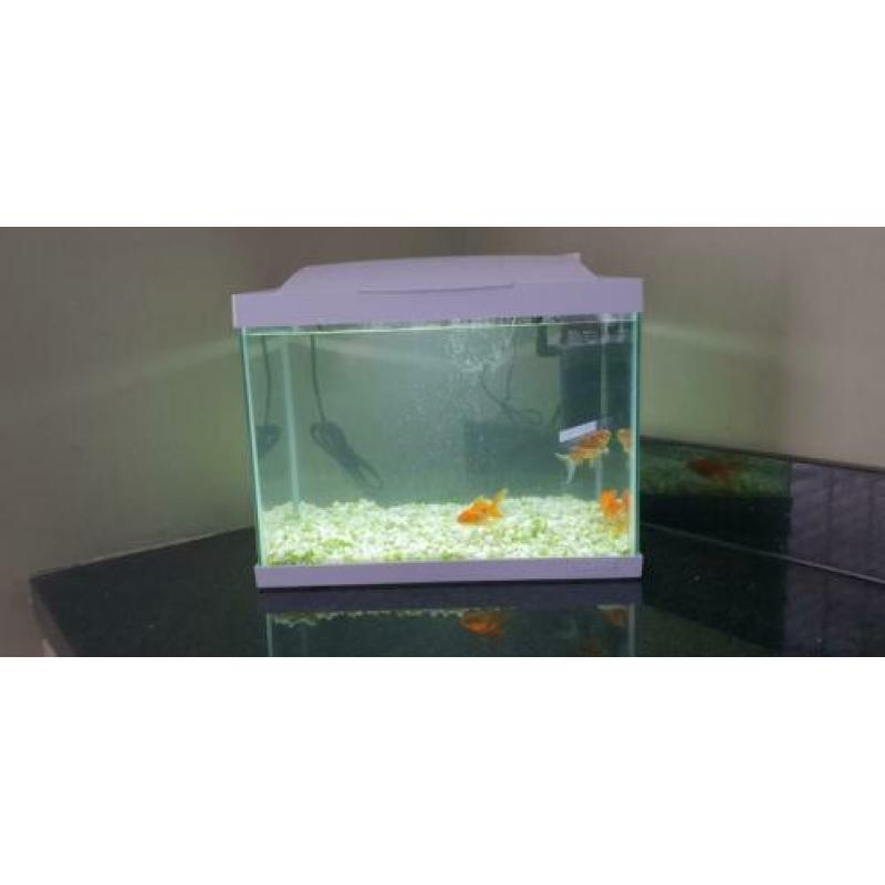 Mooie 20 liter aquarium