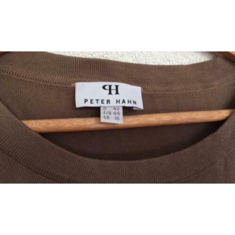 Trui Peter Hahn, maat 42