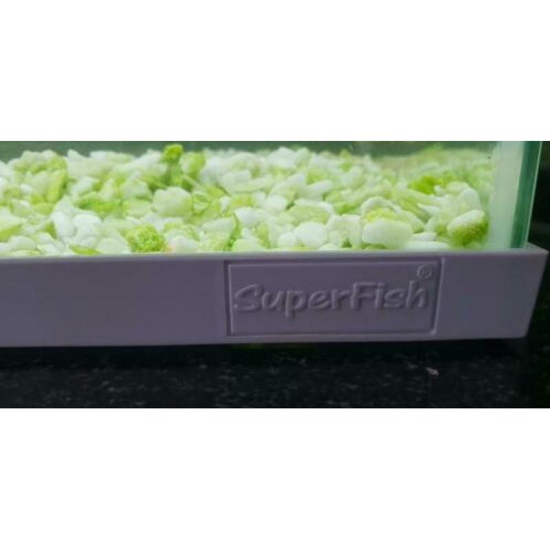Mooie 20 liter aquarium