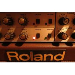 Roland AC 100 acoustic chorus amp , akoestische versterker