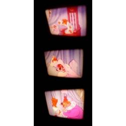 x 8mm film Walt Disney Robin Hood - Marian -geluid - mooie -