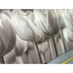 Schilder / canvasdoek tulpen. Taupe / wit / creme.