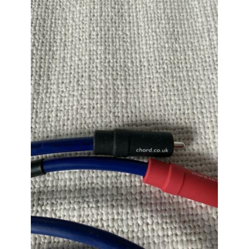 Chord company analoque clearway