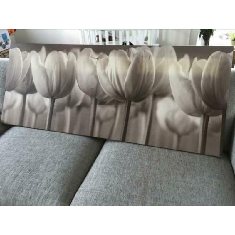 Schilder / canvasdoek tulpen. Taupe / wit / creme.