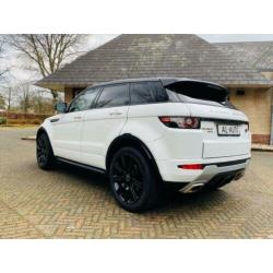Land Rover Range Rover Evoque SD4 4WD AUT 2013 Wit