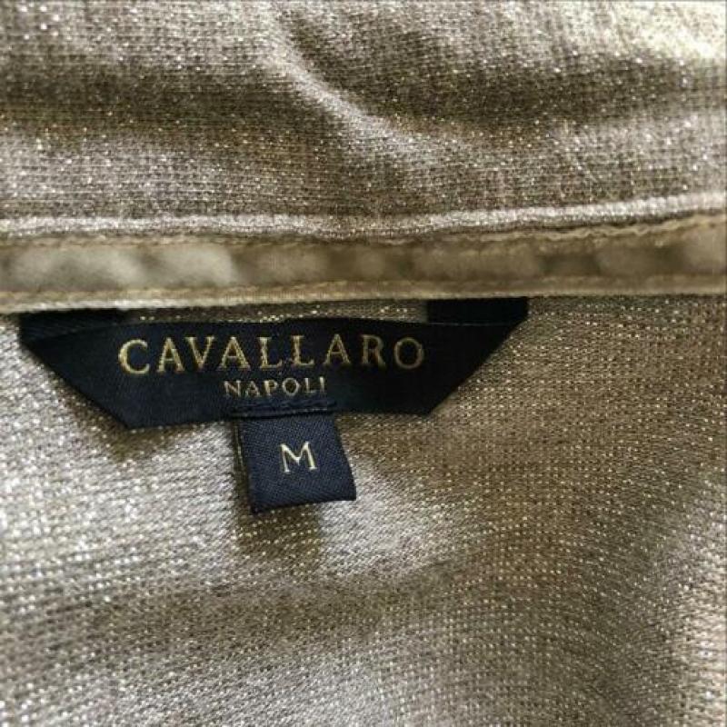 Cavallaro blouse maat M 36 & 38