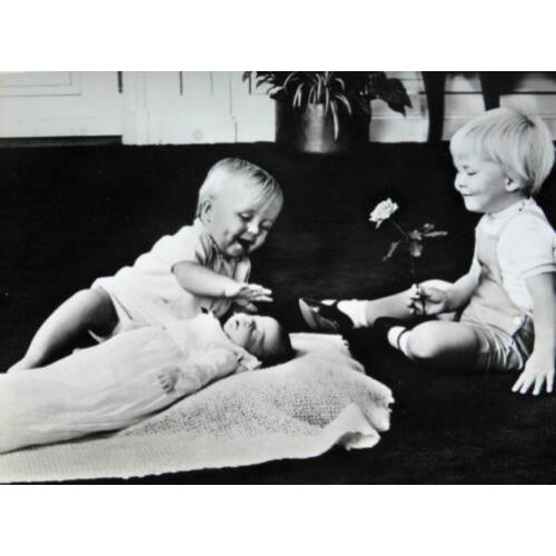Kaart ansichtkaart foto Koninklijk Huis de 3 Prinsjes (787)