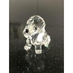Swarovski Beagle zittend met certificaat en doos.