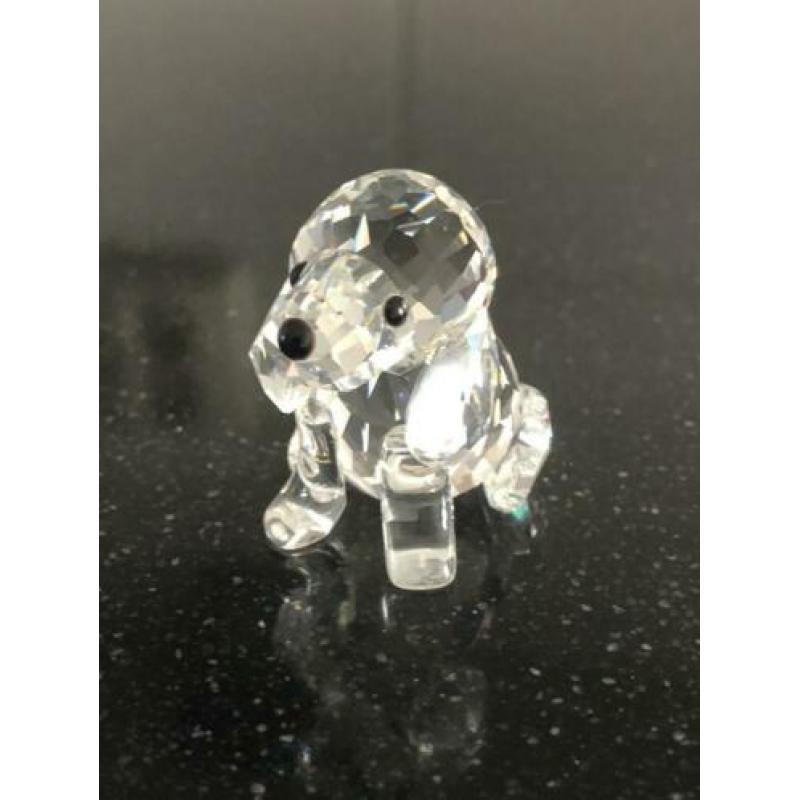 Swarovski Beagle zittend met certificaat en doos.