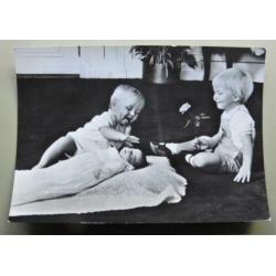 Kaart ansichtkaart foto Koninklijk Huis de 3 Prinsjes (787)