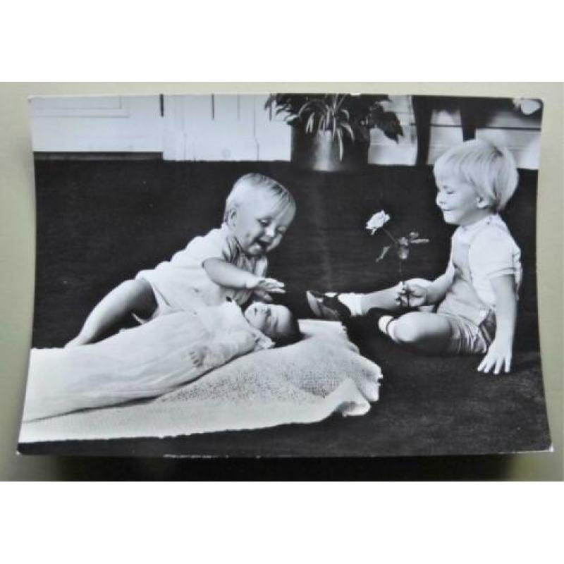 Kaart ansichtkaart foto Koninklijk Huis de 3 Prinsjes (787)