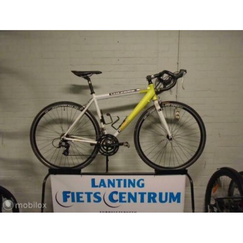 Gazelle PRIMA VERA 50 CM