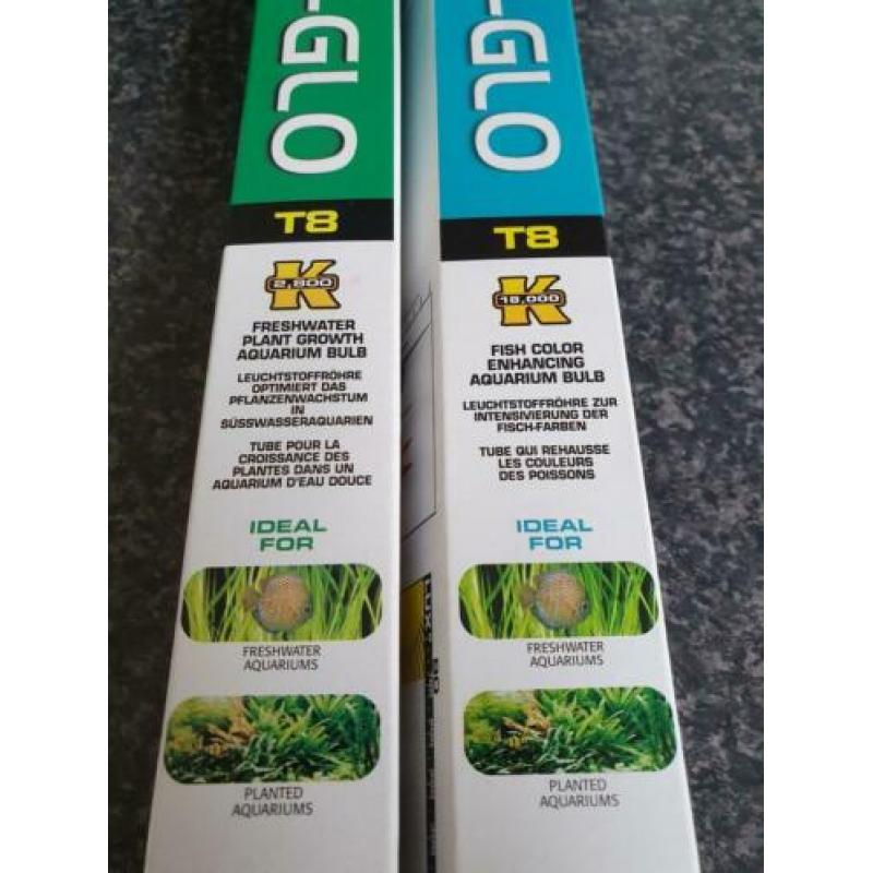 Te koop compleet aquarium. 80x45x35
