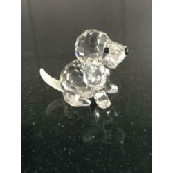 Swarovski Beagle zittend met certificaat en doos.
