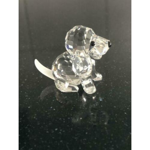 Swarovski Beagle zittend met certificaat en doos.
