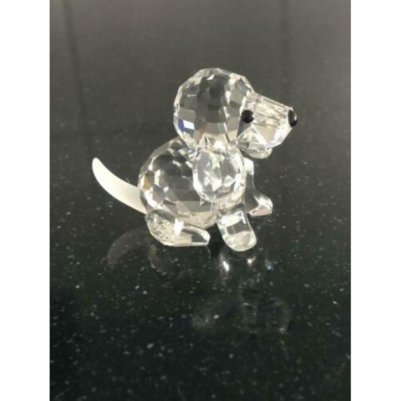 Swarovski Beagle zittend met certificaat en doos.
