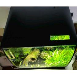 Fluval aquarium 34 liter zwart inclusief guppy's e.d