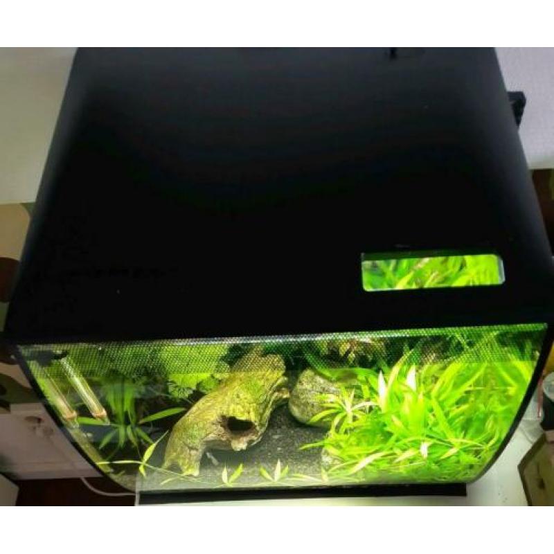 Fluval aquarium 34 liter zwart inclusief guppy's e.d