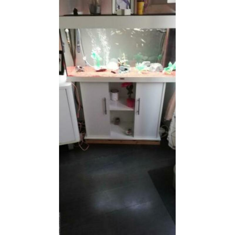 Juwel Rio 180 aquarium met onderkast