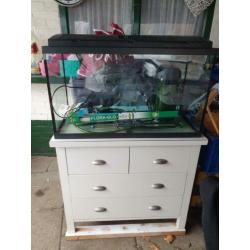 Te koop compleet aquarium. 80x45x35
