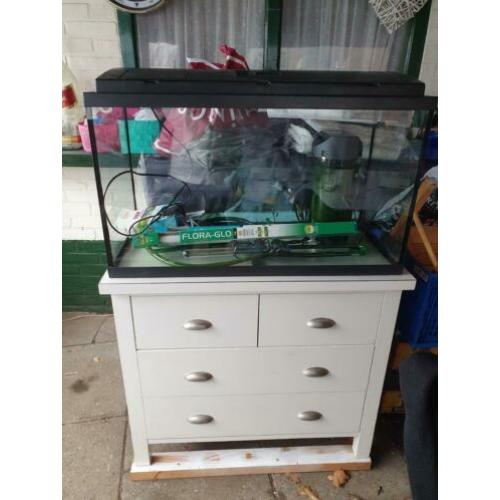 Te koop compleet aquarium. 80x45x35