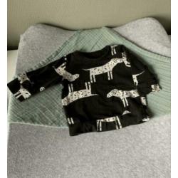 Shirts/truien baby maat 62 Hema, Prenatal en Wibra
