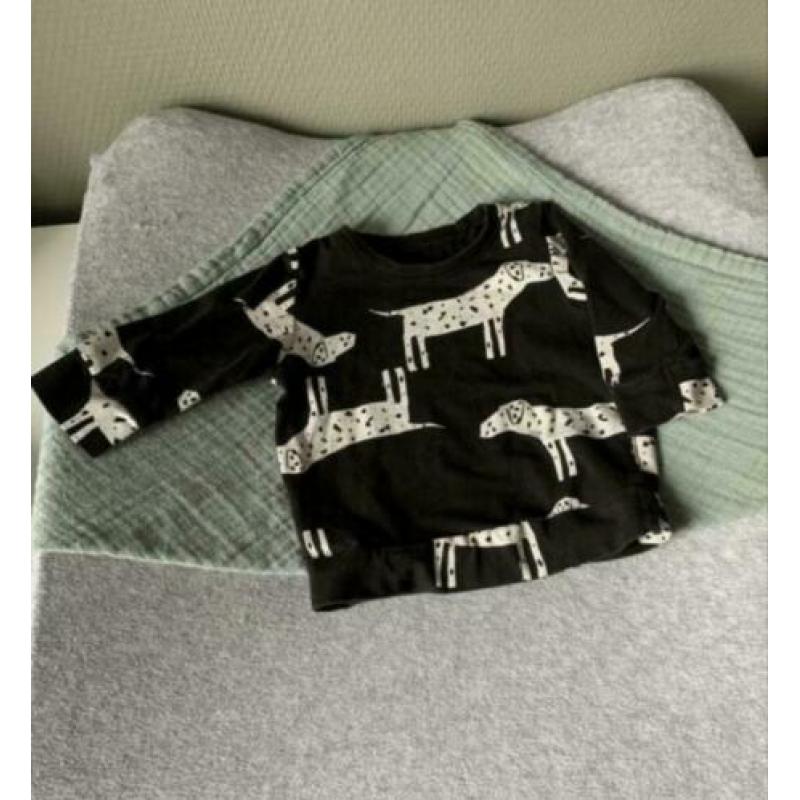 Shirts/truien baby maat 62 Hema, Prenatal en Wibra