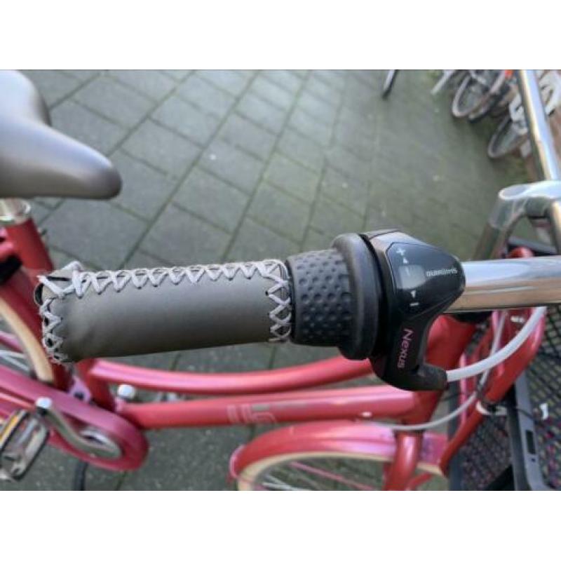 Zeer cortina u5 50 cm 3 vers 28 inch