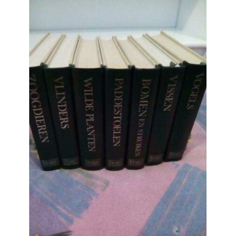 Verschillende mooi boeken