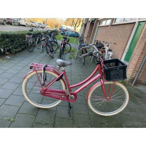 Zeer cortina u5 50 cm 3 vers 28 inch