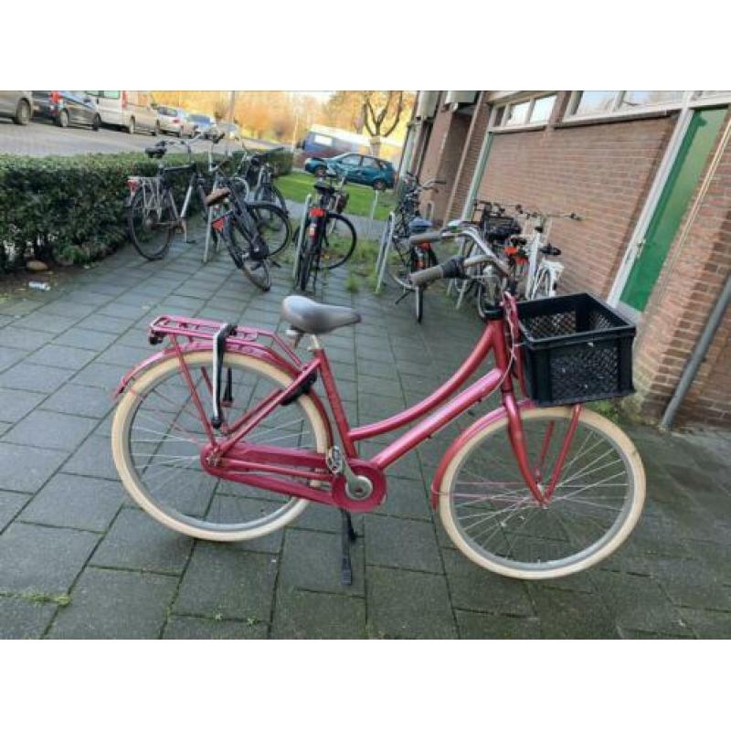 Zeer cortina u5 50 cm 3 vers 28 inch