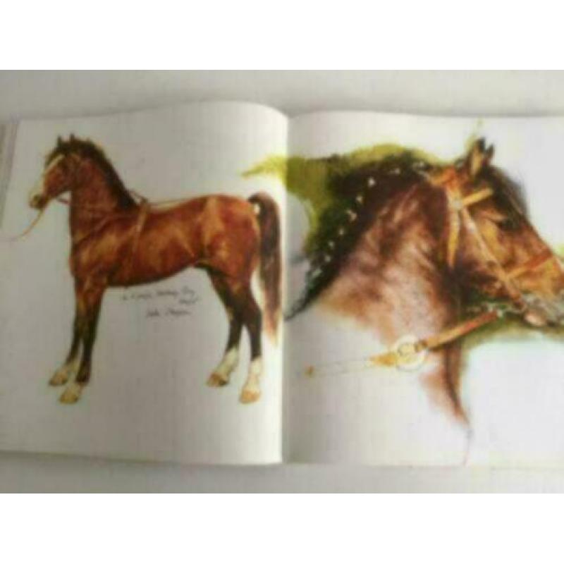 Rien Poortvliet - Het brieschende paard