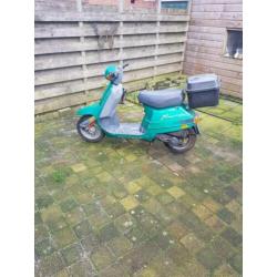 Te koop peugeot rapido
