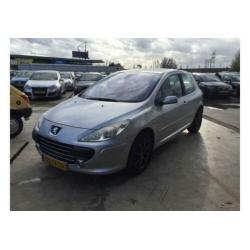 Peugeot 307 1.4-16V Premium