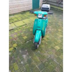 Te koop peugeot rapido