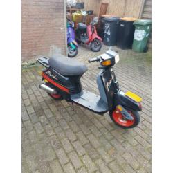 Peugeot rapido snorscooters