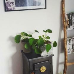 Houten ladder, interieur, styling