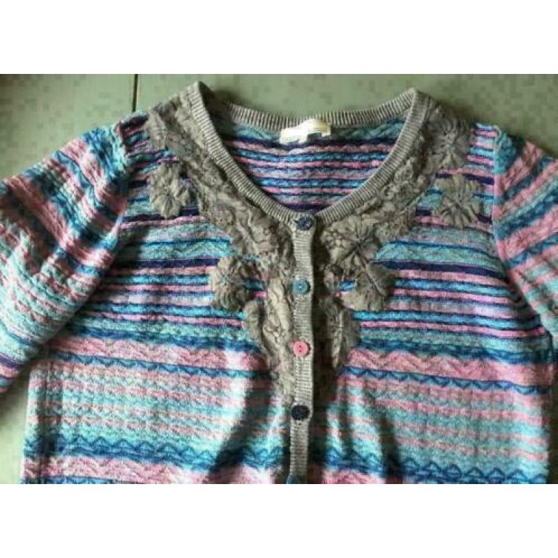 Dept vest maat XS