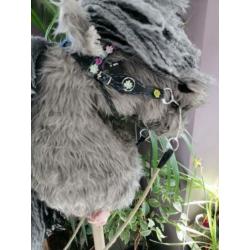 Western hoofdstel, hobby horse