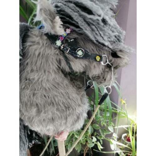 Western hoofdstel, hobby horse