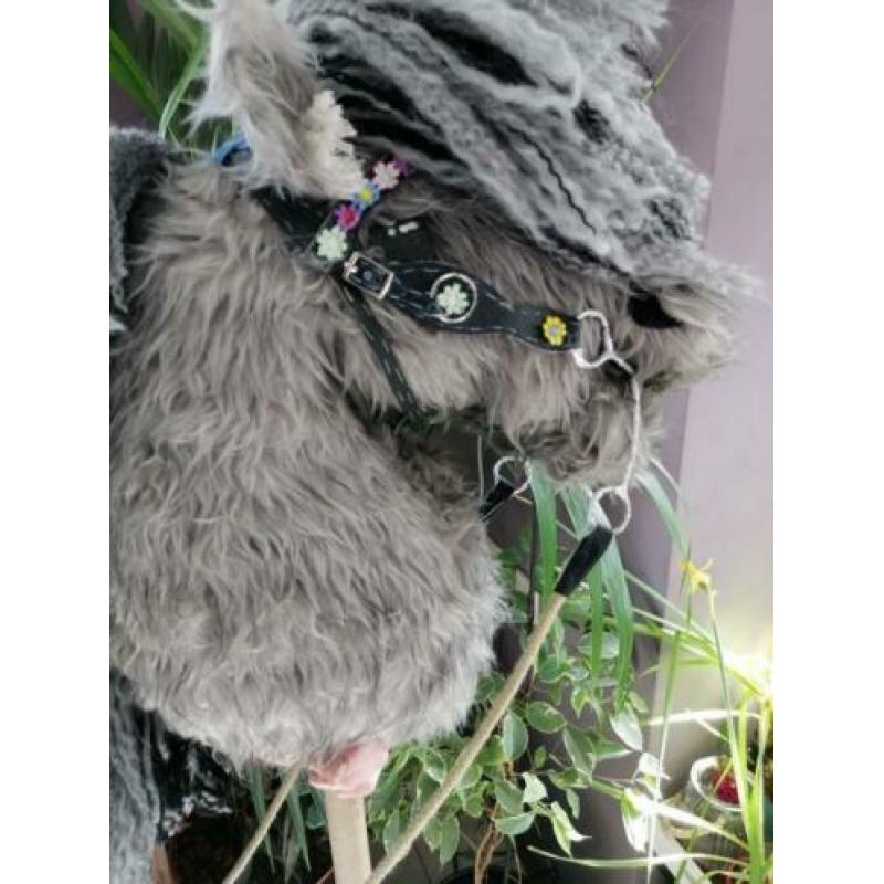Western hoofdstel, hobby horse