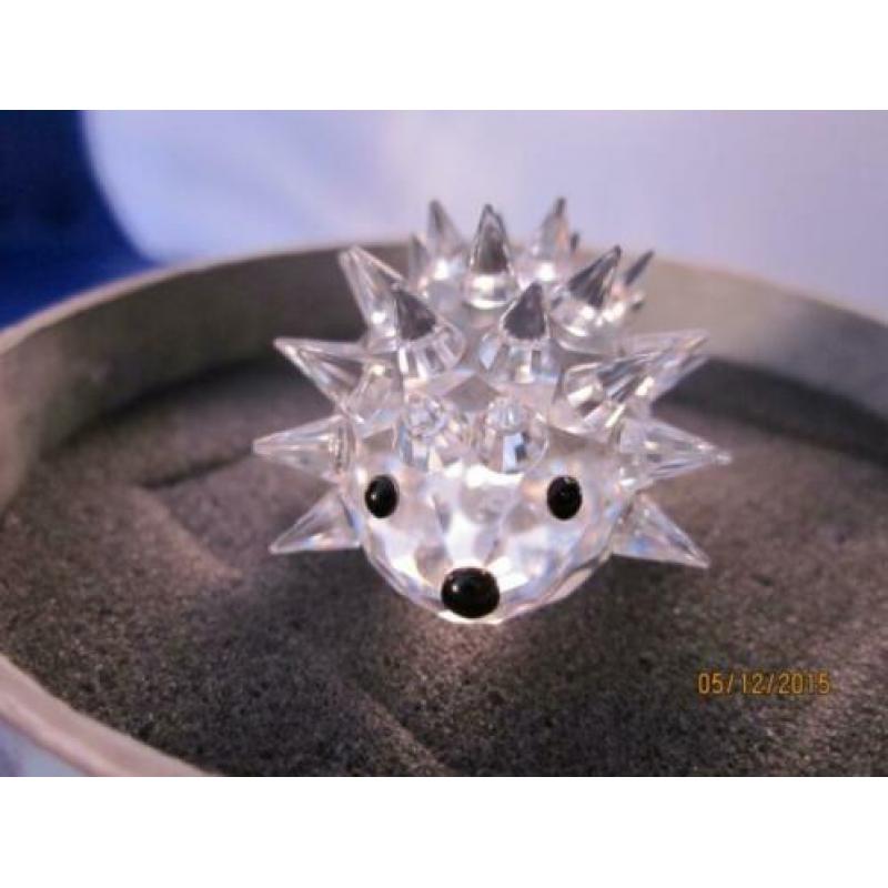 Swarovski egel, klein incl doos