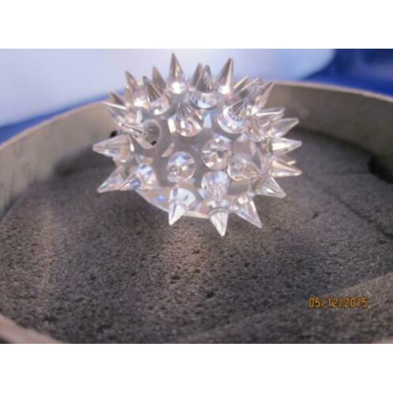Swarovski egel, klein incl doos