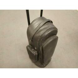 Gard 22 Tenor Trombone trolley