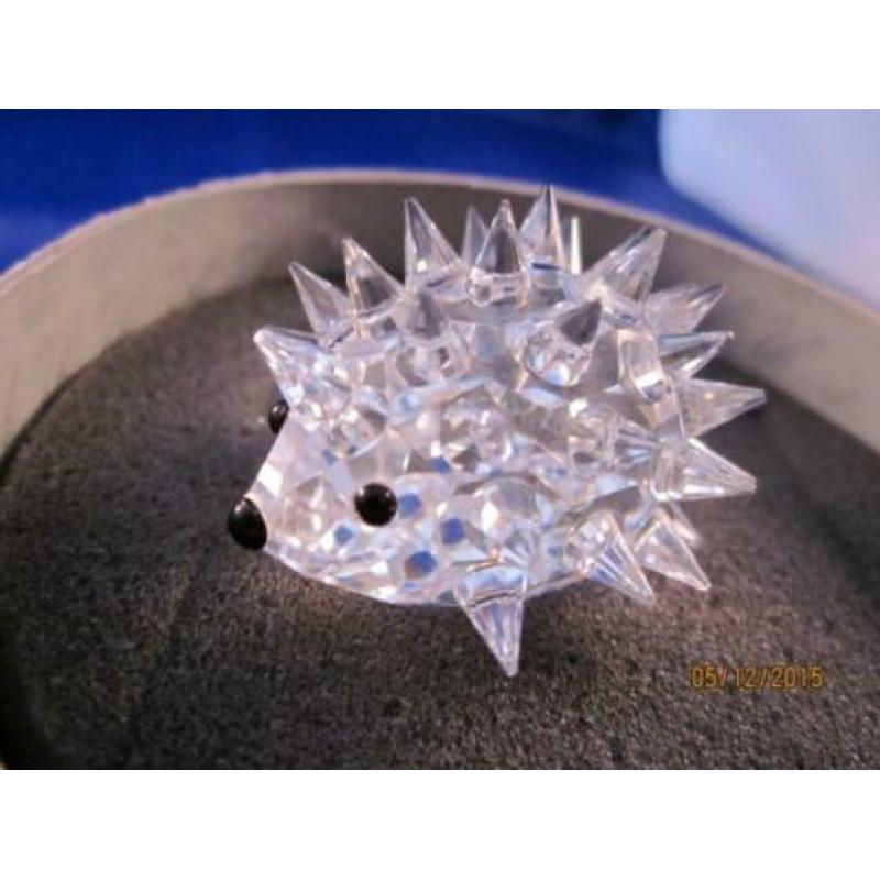 Swarovski egel, klein incl doos